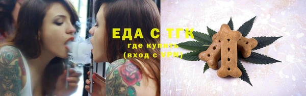 гашик Касимов