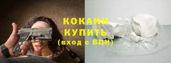 индика Кинешма