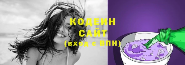 индика Кинешма