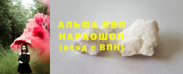 гашик Касимов