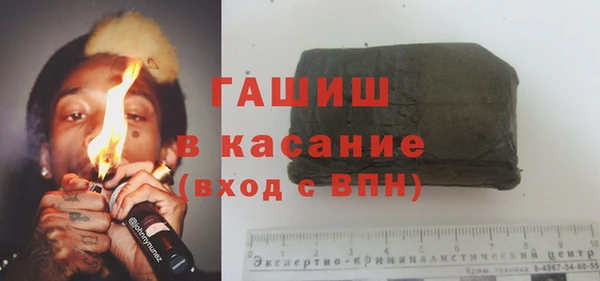 индика Кинешма