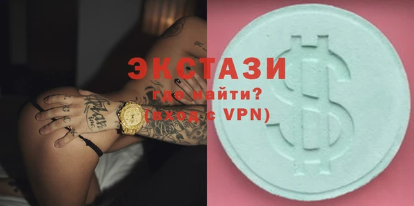 индика Кинешма