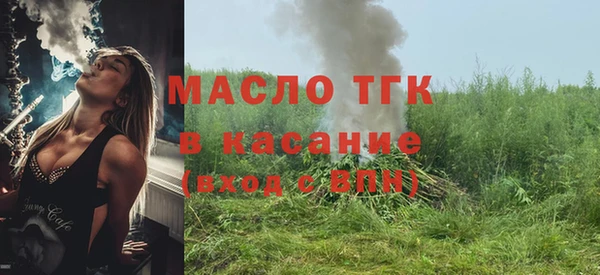 индика Кинешма