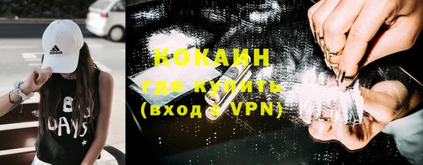 гашик Касимов