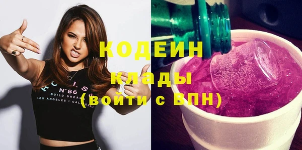 индика Кинешма