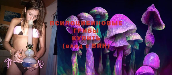 гашик Касимов