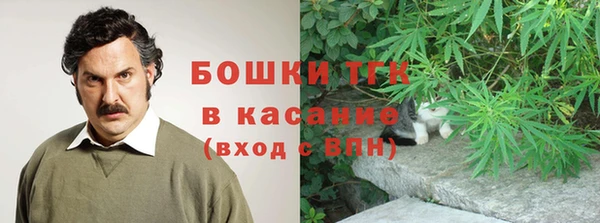 индика Кинешма