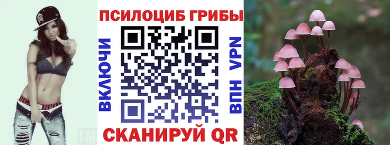 Галлюциногенные грибы ЛСД  Югорск 